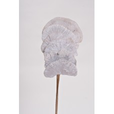 MUSHROOM SPONGE  White Wash 16"-